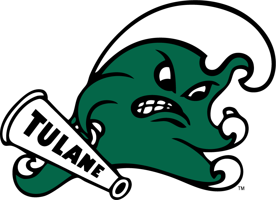Tulane Green Wave 2016-2017 Secondary Logo v3 iron on transfers for clothing